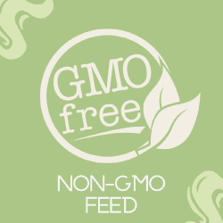 An image showing we use non-gmo feed.